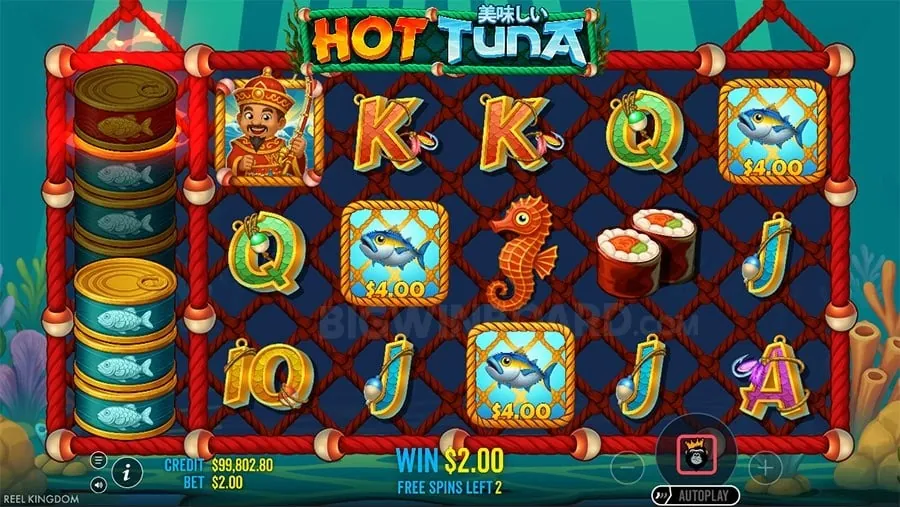 User rights and data control in online casino privacy settings
